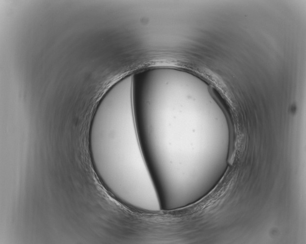 X0000095550385200712211414