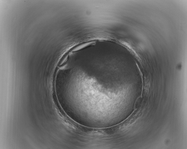 X0000095550386200712211414