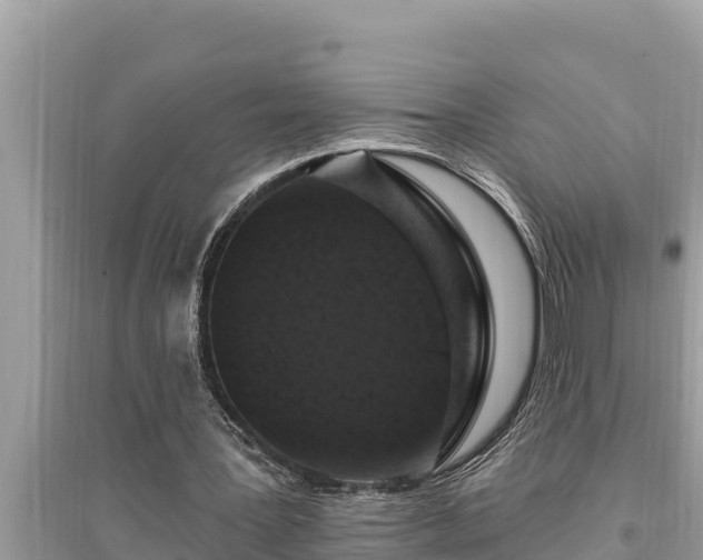 X0000095550387200712211414