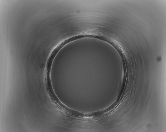 X0000095550388200712211414