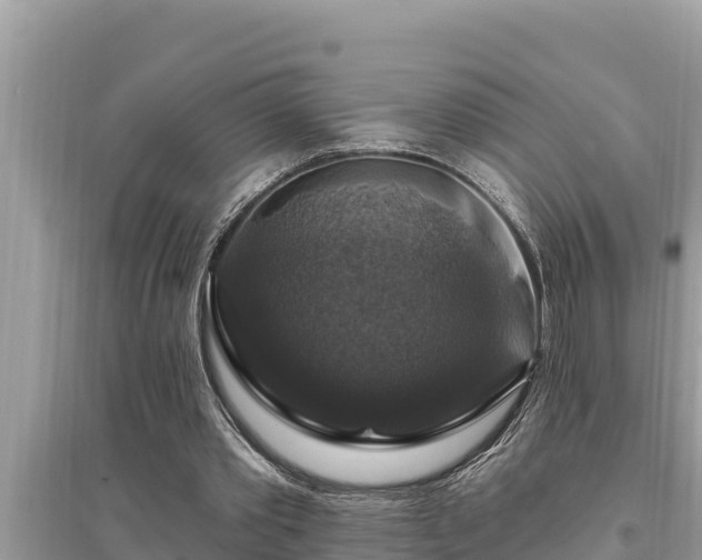 X0000095550389200712211414