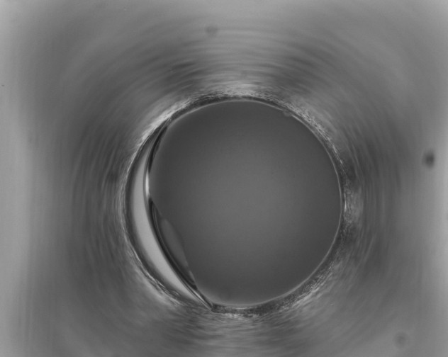 X0000095550390200712211414