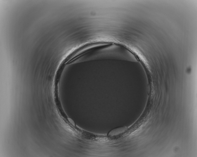 X0000095550391200712211414