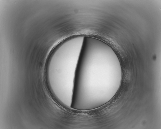 X0000095550392200712211414