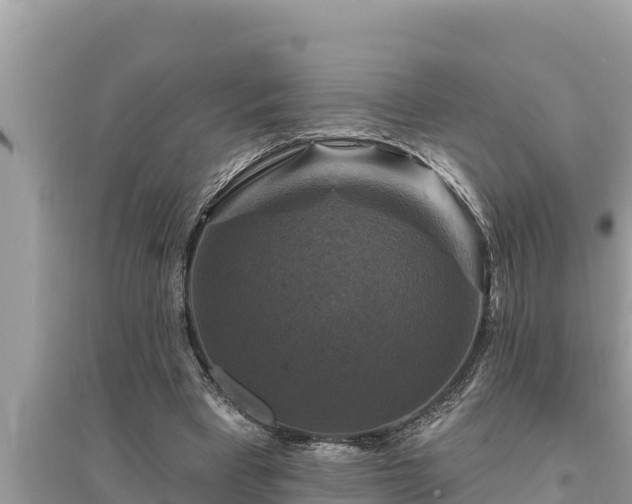 X0000095550393200712211414