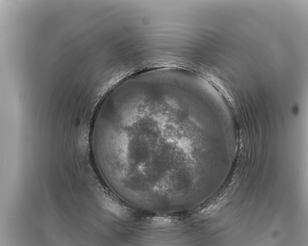 X0000095550394200712211414