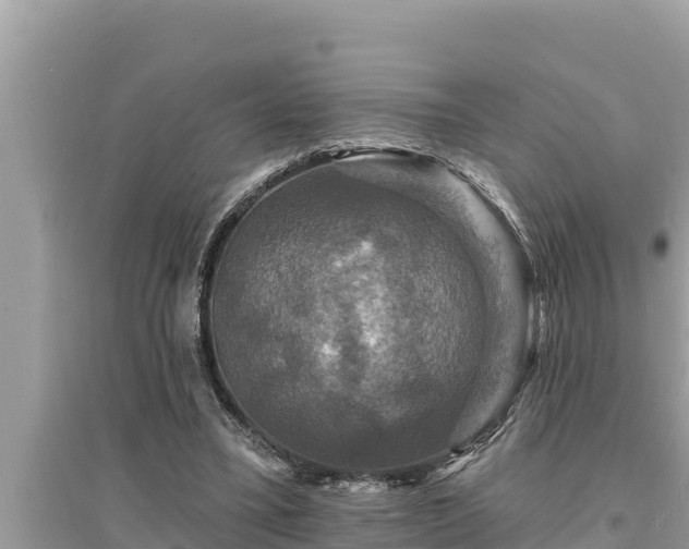 X0000095550395200712211414