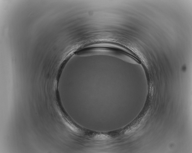 X0000095550397200712211414