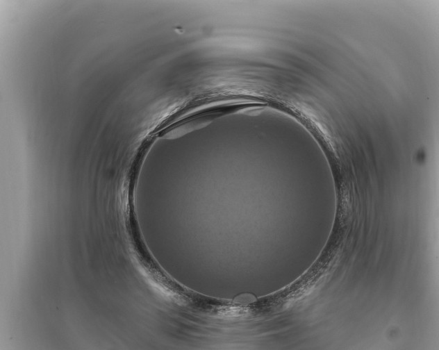 X0000095550398200712211414