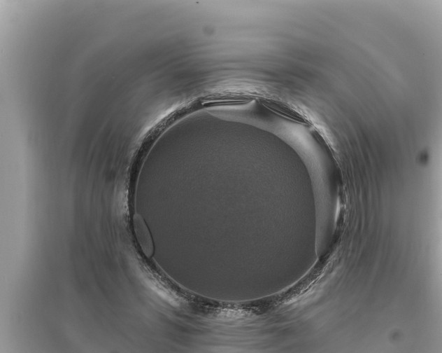 X0000095550399200712211414