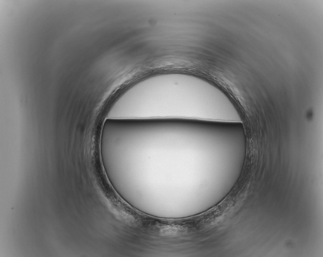 X0000095550400200712211414