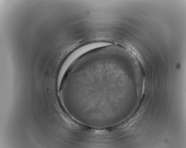 X0000095550401200712211414