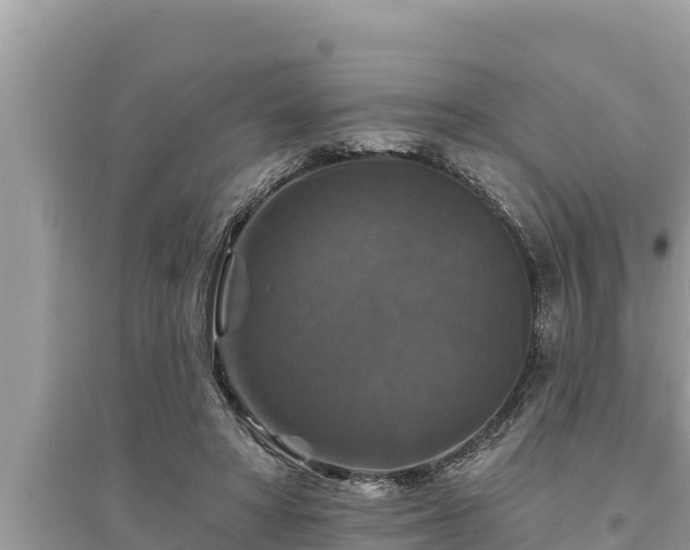 X0000095550402200712211414