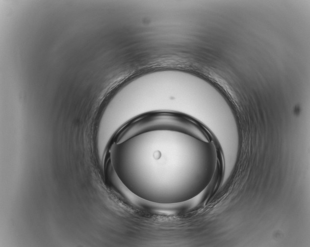 X0000095550403200712211414