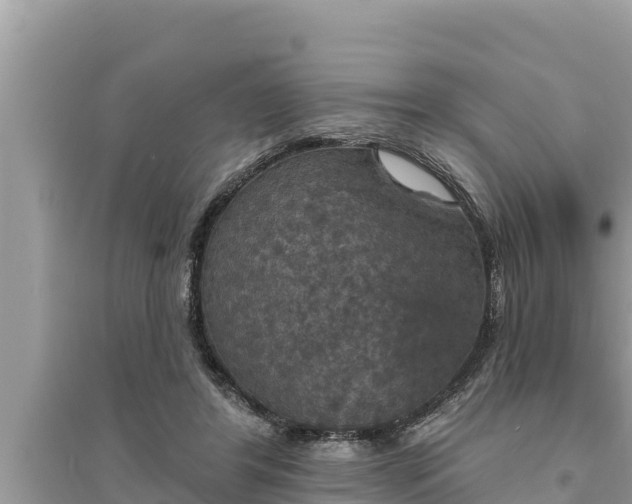 X0000095550404200712211414