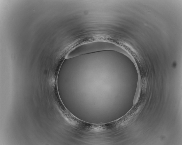 X0000095550405200712211414