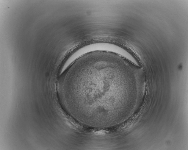 X0000095550407200712211414