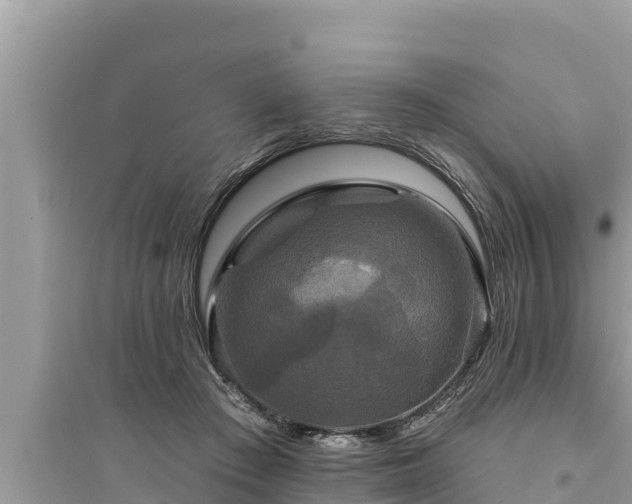 X0000095550409200712211414