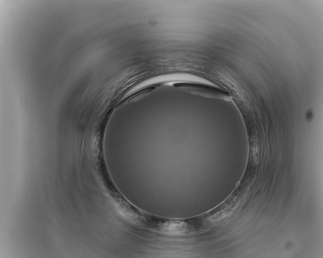 X0000095550410200712211414