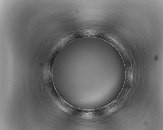 X0000095550411200712211414