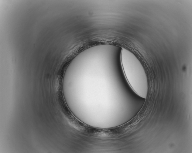 X0000095550412200712211414