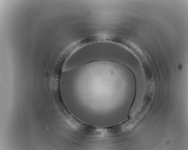 X0000095550413200712211414