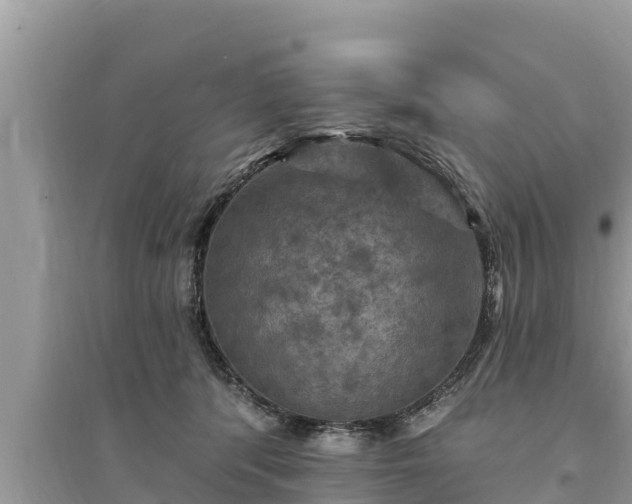 X0000095550416200712211414