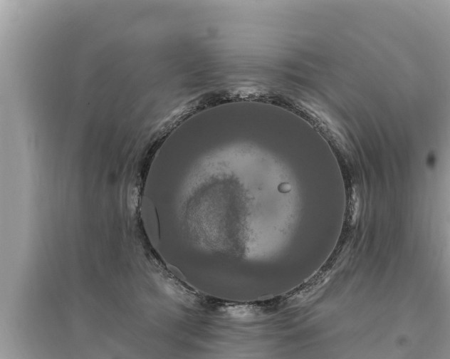 X0000095550417200712211414