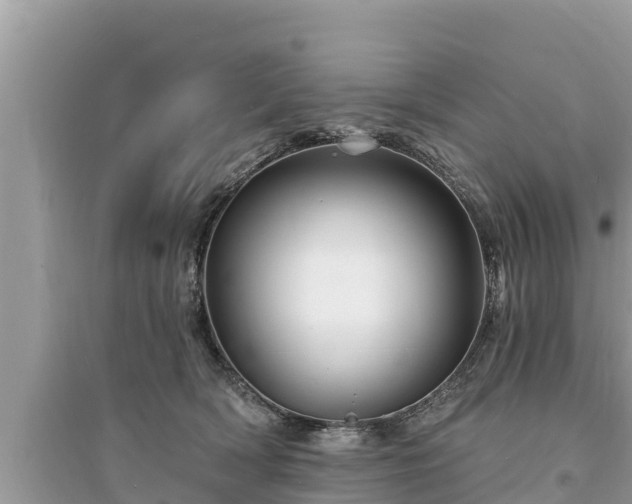 X0000095550418200712211414