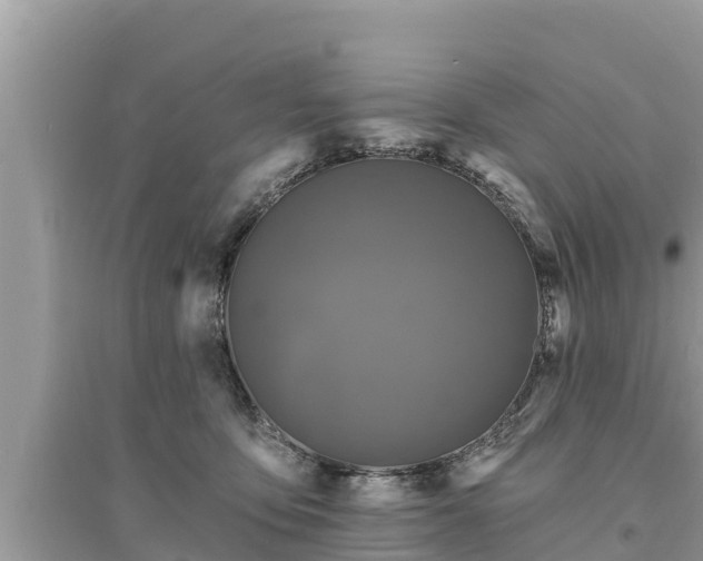 X0000095550419200712211414