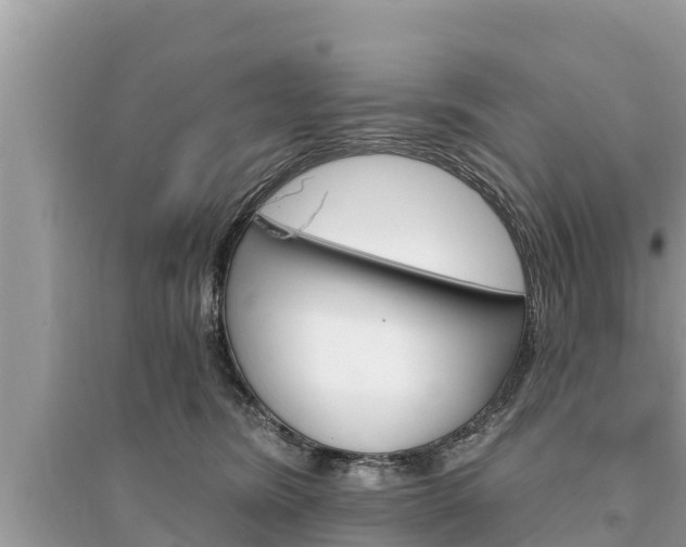 X0000095550420200712211414