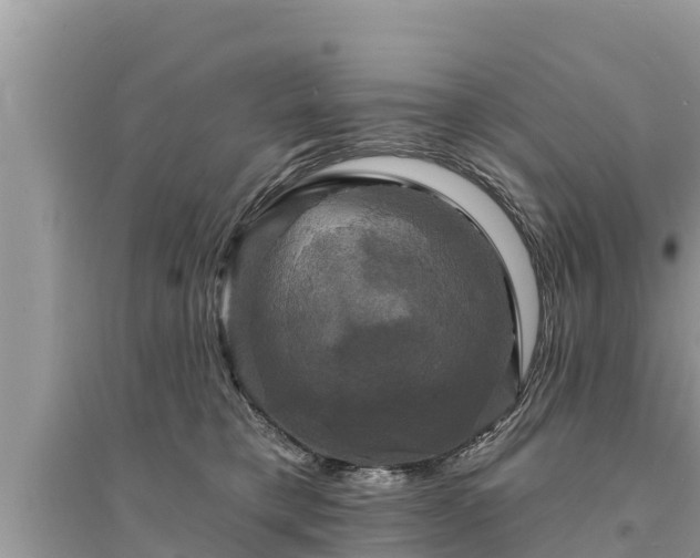 X0000095550421200712211414