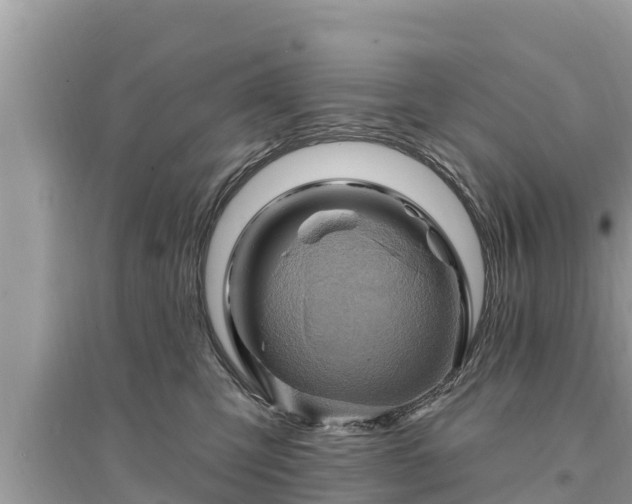 X0000095550423200712211414