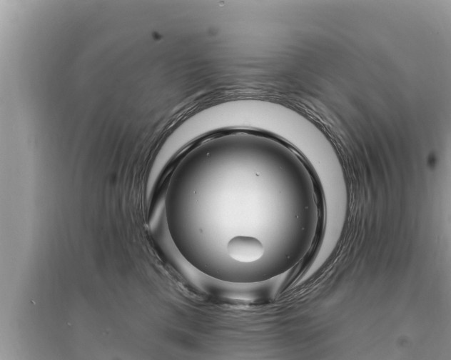 X0000095550425200712211414