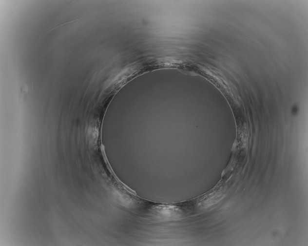 X0000095550427200712211414