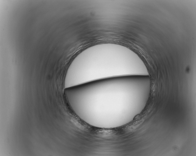 X0000095550428200712211414