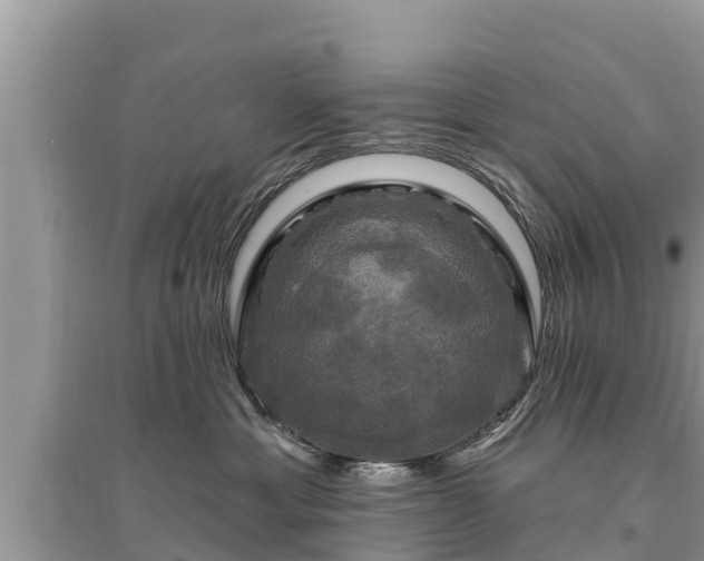 X0000095550429200712211414