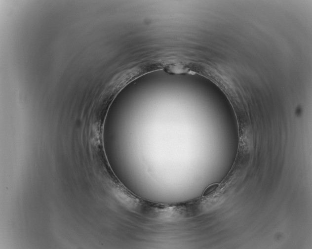 X0000095550430200712211413