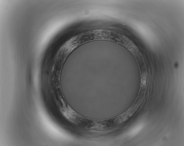 X0000095550431200712211413