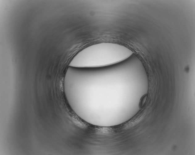 X0000095550432200712211413