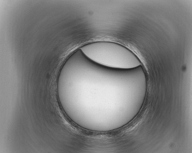 X0000095550433200712211413