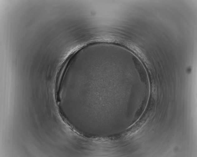 X0000095550434200712211413