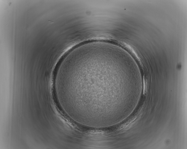 X0000095550435200712211413