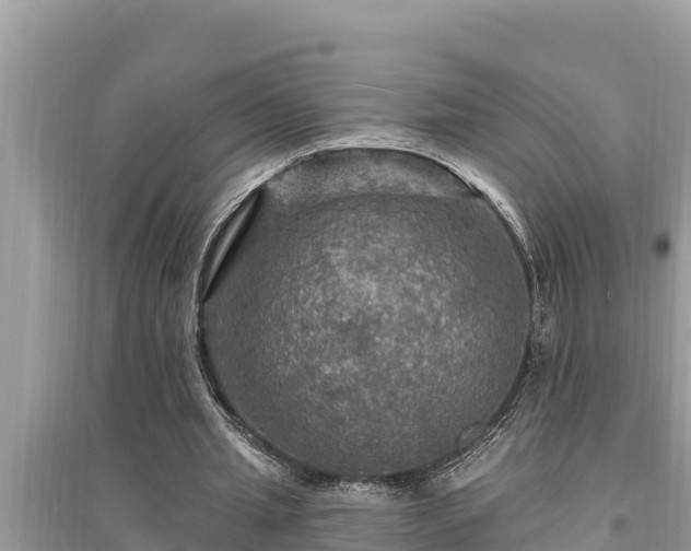 X0000095550437200712211413