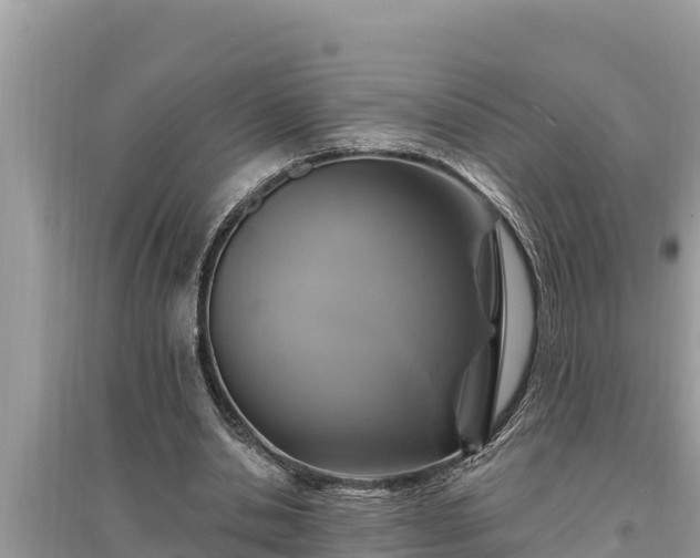 X0000095550438200712211413