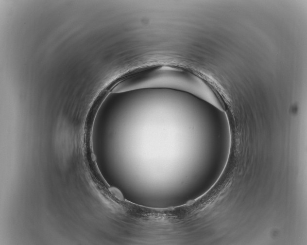 X0000095550439200712211413