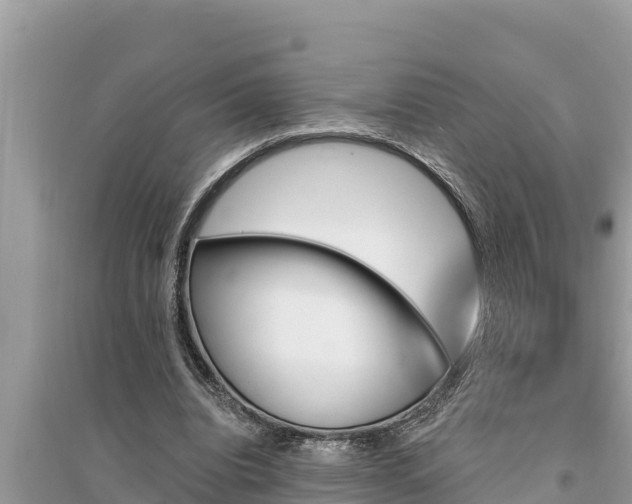 X0000095550440200712211413