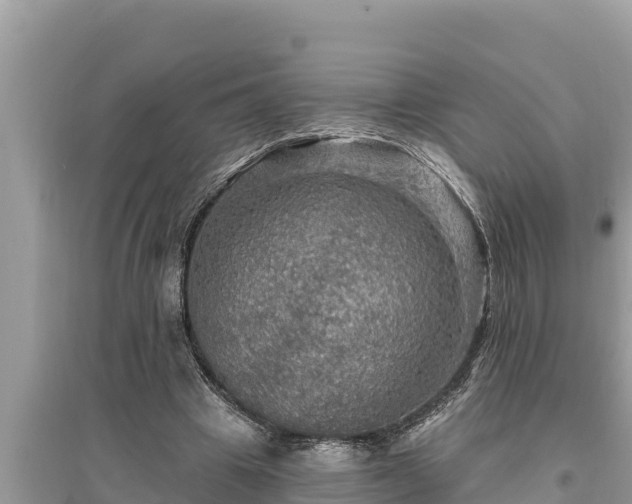 X0000095550441200712211413