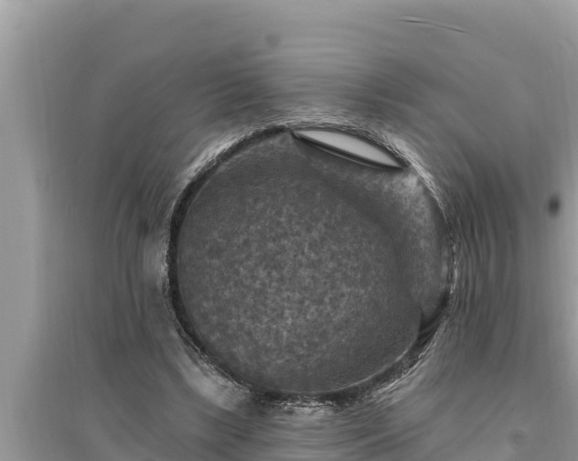 X0000095550443200712211413