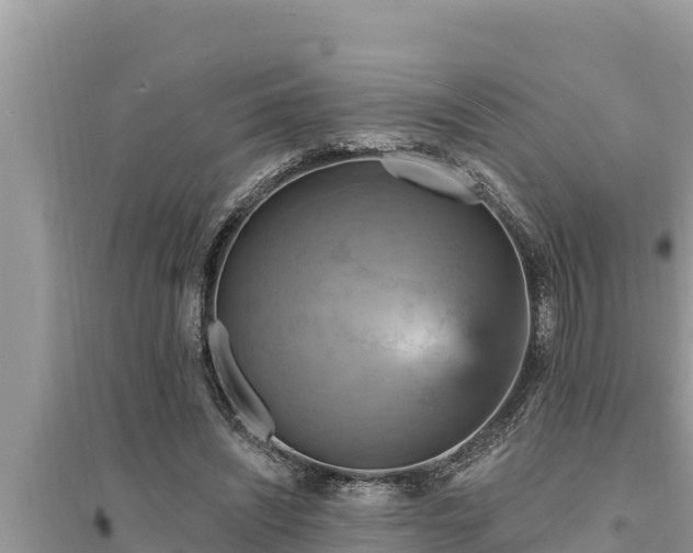 X0000095550444200712211413